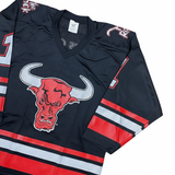 (Multiple)NEW VINTAGE 90s ROCKY JERSEY