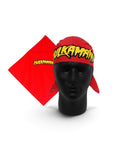 Hulk hogan costume kit