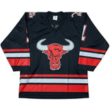 (Multiple)NEW VINTAGE 90s ROCKY JERSEY