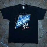 LARGE SD CHRIS VS LESNAR